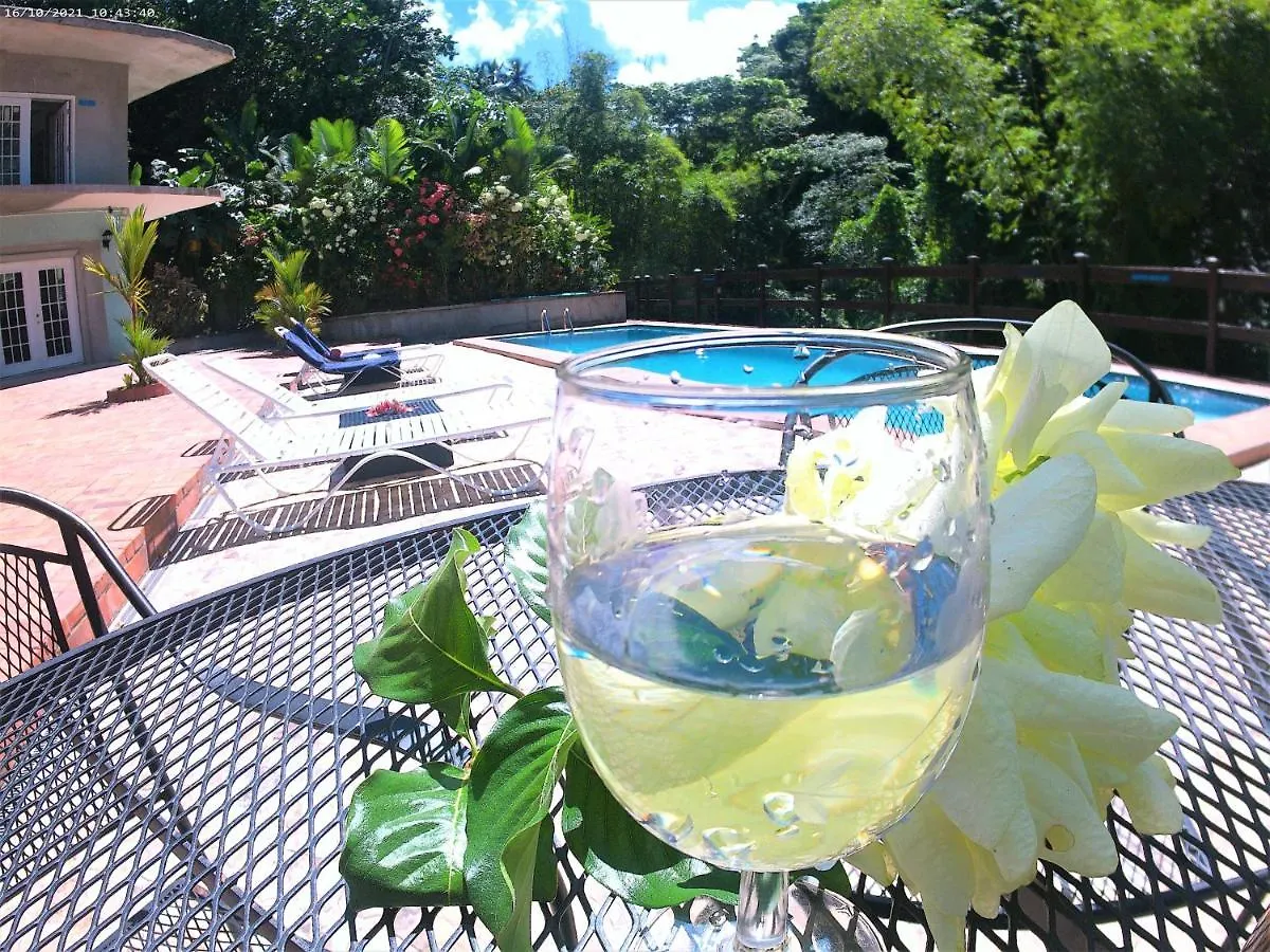 Toraille Waterfall Poolside Apartment Soufriere