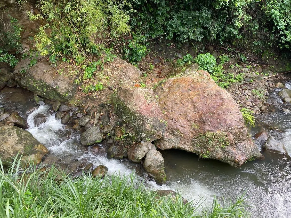 Toraille Waterfall Poolside Apartment Soufriere 0*,