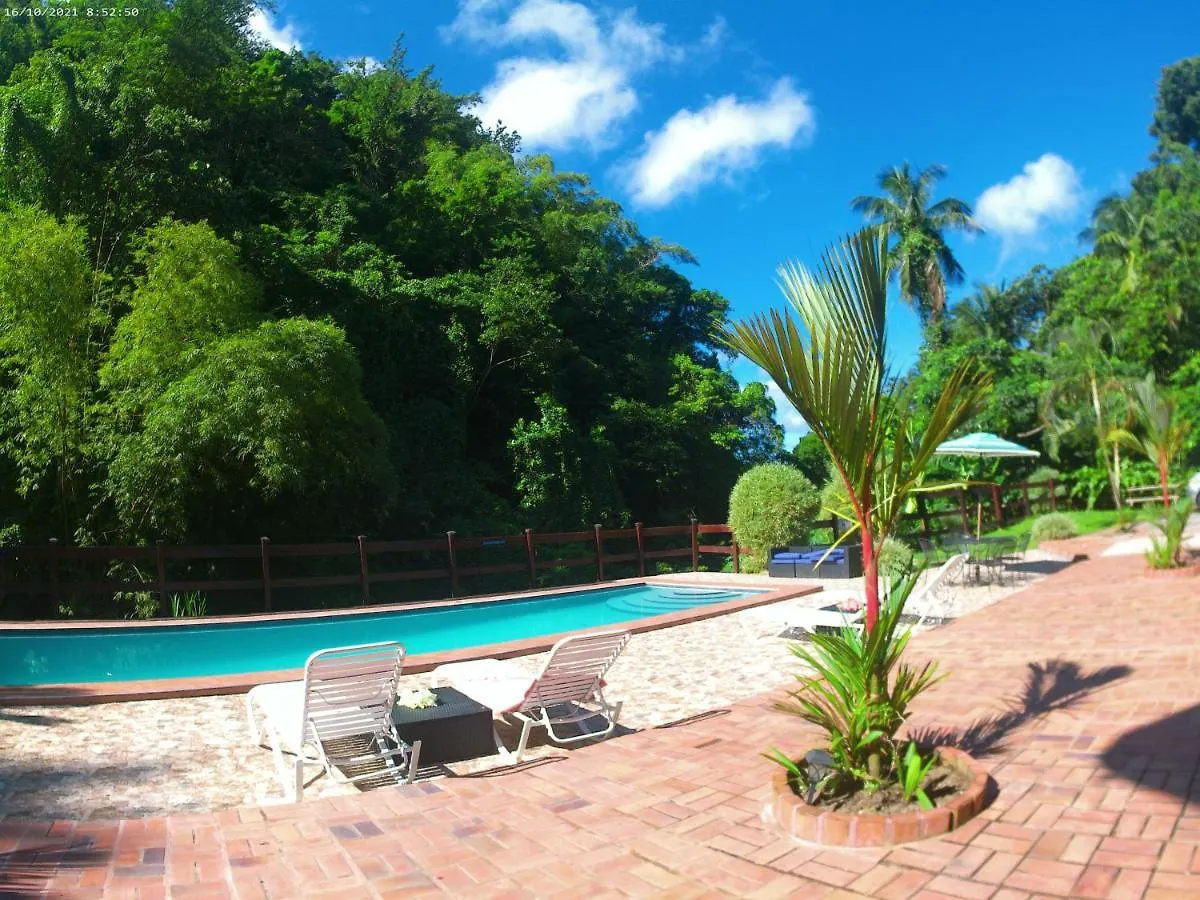 Toraille Waterfall Poolside Apartment Soufriere
