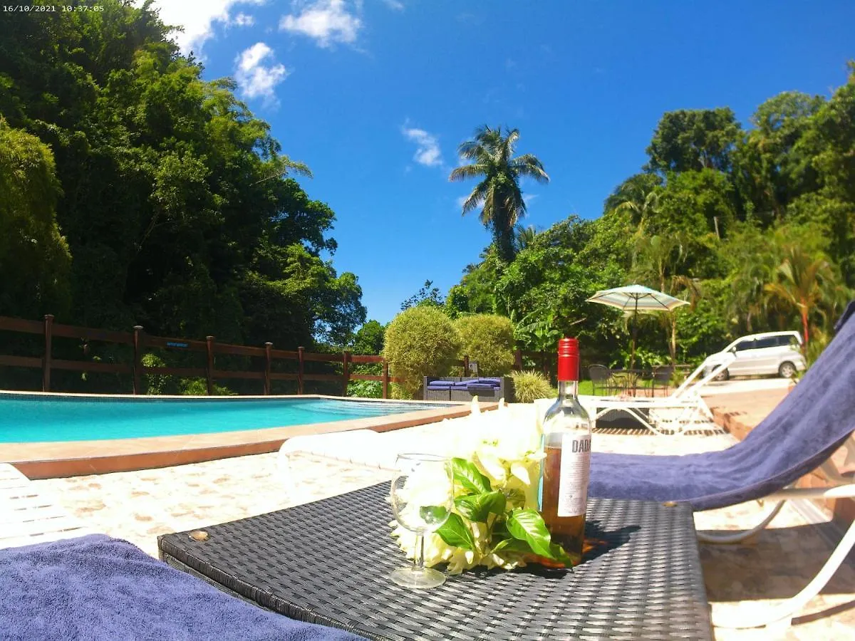 Toraille Waterfall Poolside Apartment Soufriere